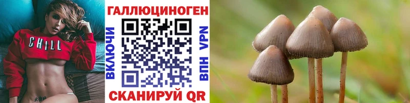 Псилоцибиновые грибы мухоморы  Дзержинский 
